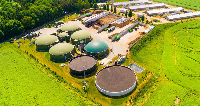 Знімок екрана 2025-08-31 013848